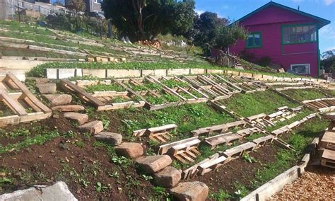 How To Landscape A Steep Slope | Good Life Permaculture Sloped Yard, Sloped Backyard, Backyard ...