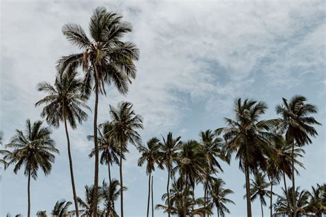 Nine Things To Know Before You Visit Florianópolis — ALONG DUSTY ROADS