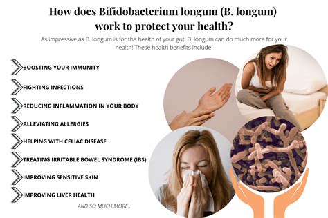 Bifidobacterium Longum-Benefits Of This Powerful Probiotic Bacteria | Prana Thrive