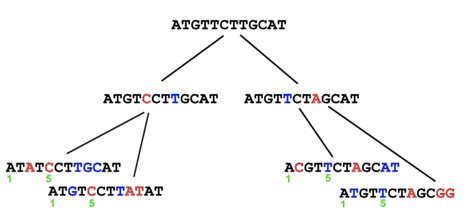 Emerging frontiers in molecular evolution