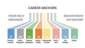 Career Anchors