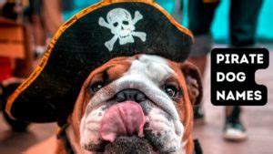 Pirate Dog Names for Your New Matey