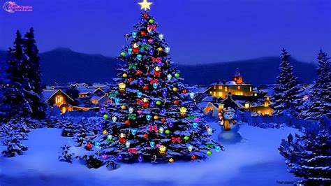 Christmas Tree Natural Lights Snow | Free Hd Wallpapers
