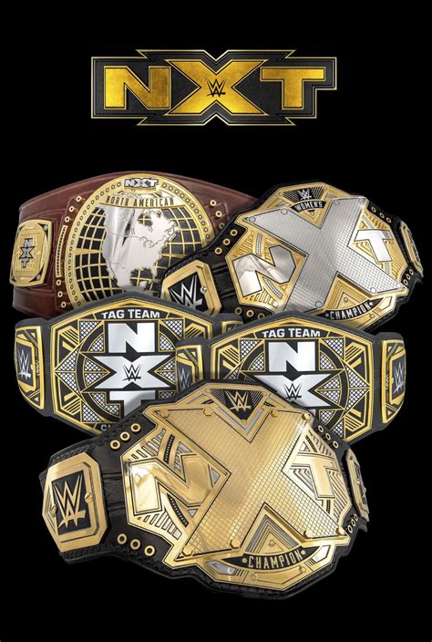 NXT Championship Replica Title (2017) | lupon.gov.ph