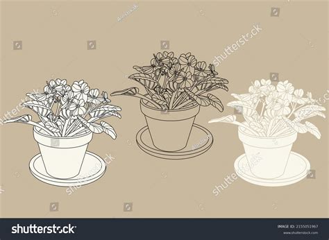 Violet Flower Illustration Line Style February Stock Vector (Royalty ...