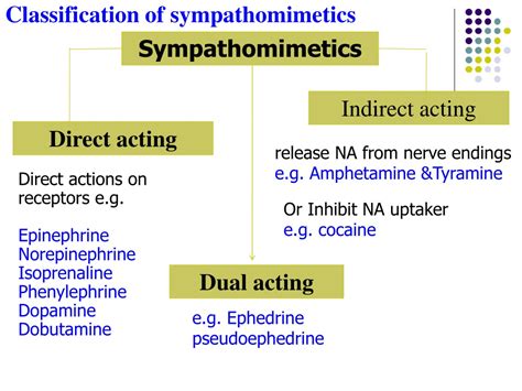 PPT - Sympathomimetic drugs (Adrenergic agonists) Prof. Hanan Hagar Pharmacology Department ...