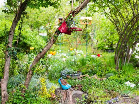 Your Green Escape: 13 Unique Backyard Garden Ideas - Minneopa Orchards