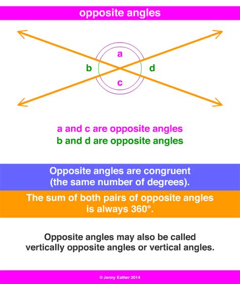 opposite angles ~ A Maths Dictionary for Kids Quick Reference by Jenny ...