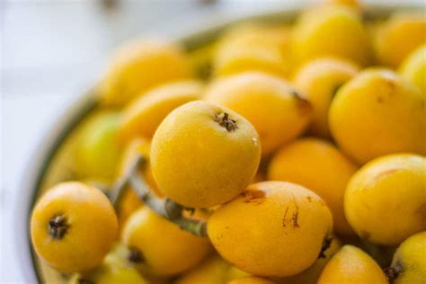 Loquat Jam Recipe (using fresh loquats) | Hilda's Kitchen Blog