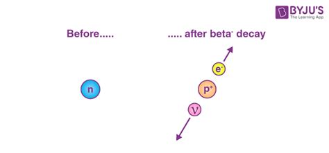 Neutrino - Definition, Properties, Neutrino Types, Detection Methods