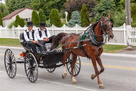 Mennonite vs Amish (Cultural Comparisons) – Amish Baskets