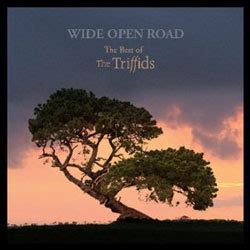 The Triffids – Wide Open Road: The Best Of | Album Reviews | musicOMH