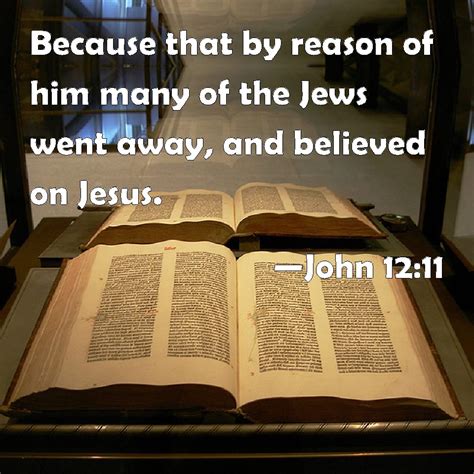 John 12:11 Because that by reason of him many of the Jews went away ...