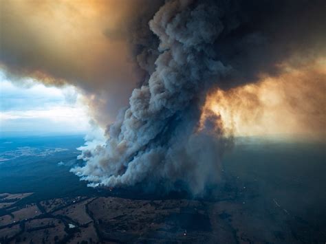 Australia wildfire coverage is long on koalas, short on causes ...