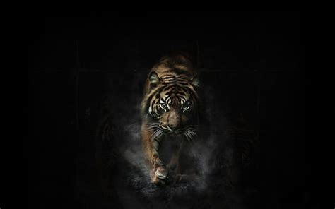 Red Tiger Wallpapers - Top Free Red Tiger Backgrounds - WallpaperAccess