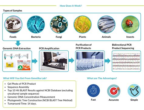 DNA Barcoding Services – Genetika Science