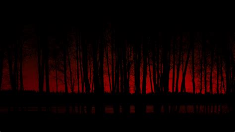 Download Dark Forest HD Wallpaper