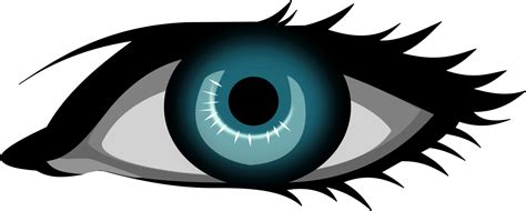 Iris,Close Up,Eye PNG Clipart - Royalty Free SVG / PNG