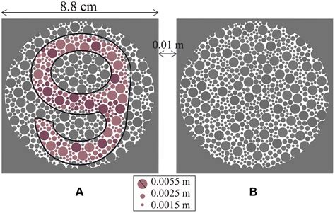 Frontiers | Color-discrimination threshold determination using pseudoisochromatic test plates ...