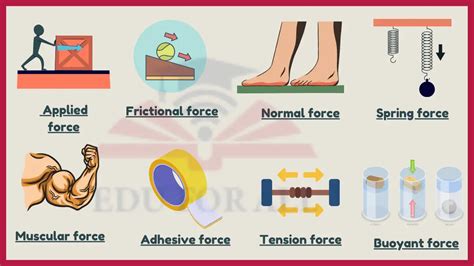 14 Examples of Contact Forces