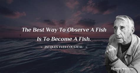 20+ Quotes From Jacques Cousteau - DavidKatelyn