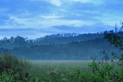 Kasus Ranca Upas: Menumbuhkan Etika di Hutan Hujan Tropis Tersisa Jawa Barat - Mongabay.co.id