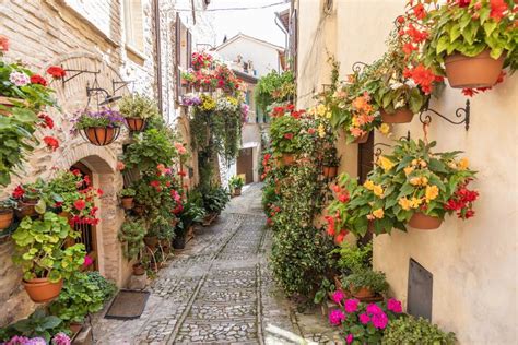 Where to See Beautiful Blooms Around Italy this Spring | ITALY Magazine