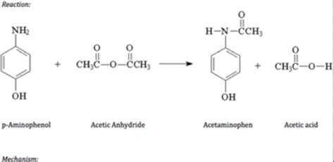 Acetylation | Student Doctor Network