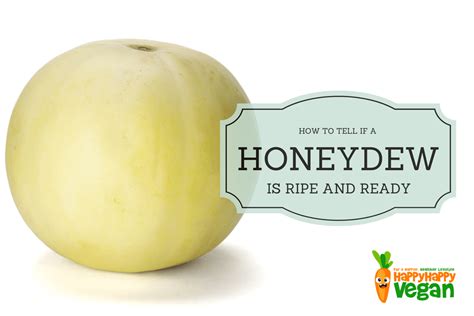 How To Tell If A Honeydew Melon Is Ripe (And What To Do If It's Not) - Happy Happy Vegan