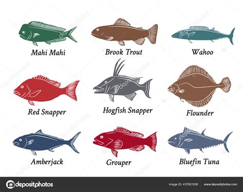 Fishes Pictures With Names