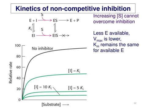 PPT - Lecture 7-Enzyme Inhibition-Drug Discovery PowerPoint Presentation - ID:5580915