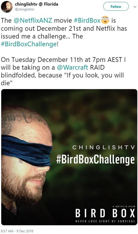 Bird Box Memes Reddit