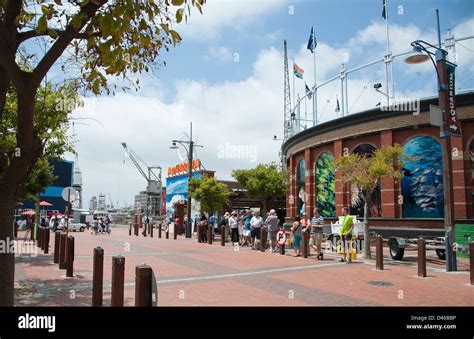 The Two Oceans Aquarium at the V&A Waterfront Cape Town South Africa ...