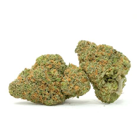 White Rhino Weed Strain Review - White Rhino Cannabis Strain