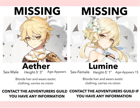 Genshin Impact Traveler Missing Poster Lumine / Aether / Genshin Imapct ...