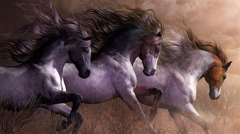 Gray Horses HD Horse Wallpapers | HD Wallpapers | ID #57028