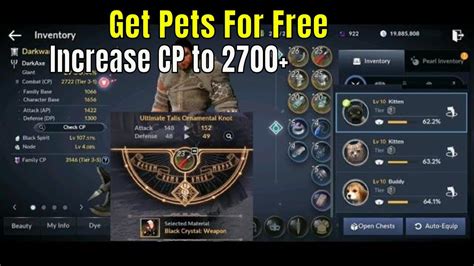 Black Desert Mobile Get Pets for Free & CP Increase to 2700 - YouTube