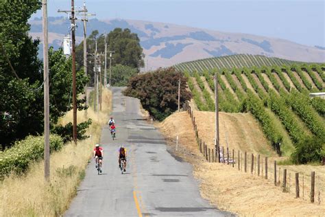 The Best Winery Bike Tours, Rentals & Routes in Napa Valley | Napa Valley