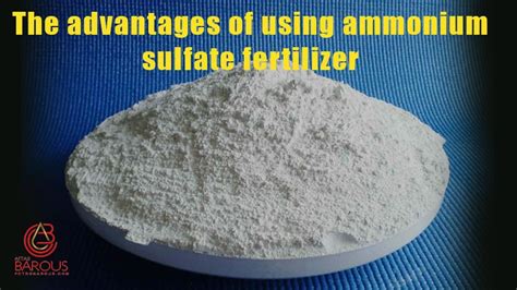 The advantages of using ammonium sulfate fertilizer - Petro Barous Co