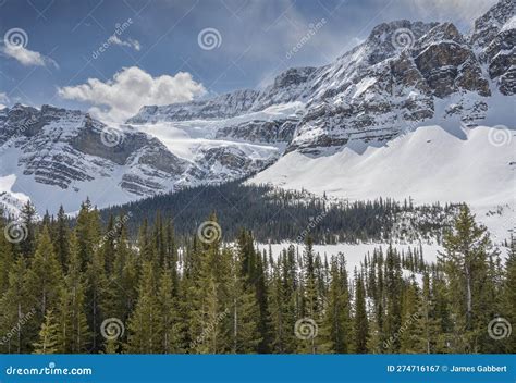 Winter View of Crowfoot Glacier in Banff Stock Image - Image of cold, rockies: 274716167