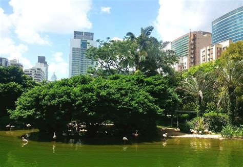 Kowloon Park, Hong Kong: A Must-Visit Attraction for Nature Lovers ...