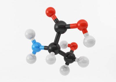 Serine structure 3D - TurboSquid 1441222