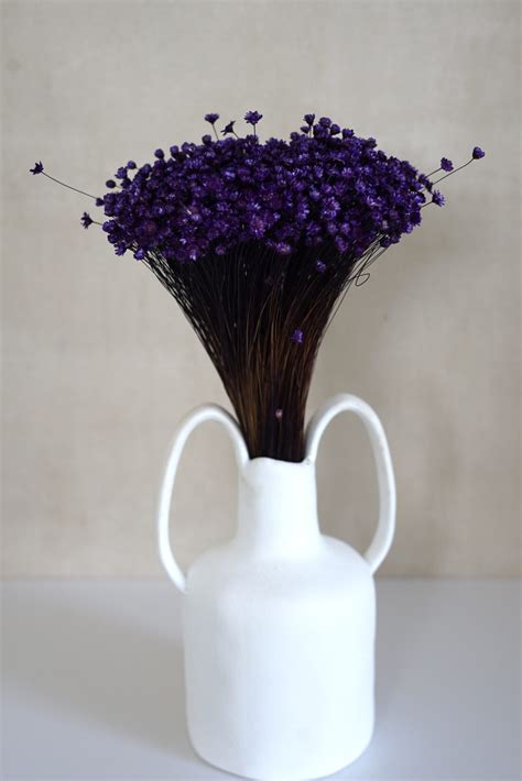 Purple Star Flowers – FlowerFantaSee