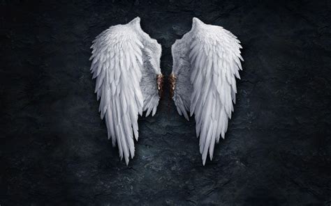 Wings Wallpapers - Top Free Wings Backgrounds - WallpaperAccess