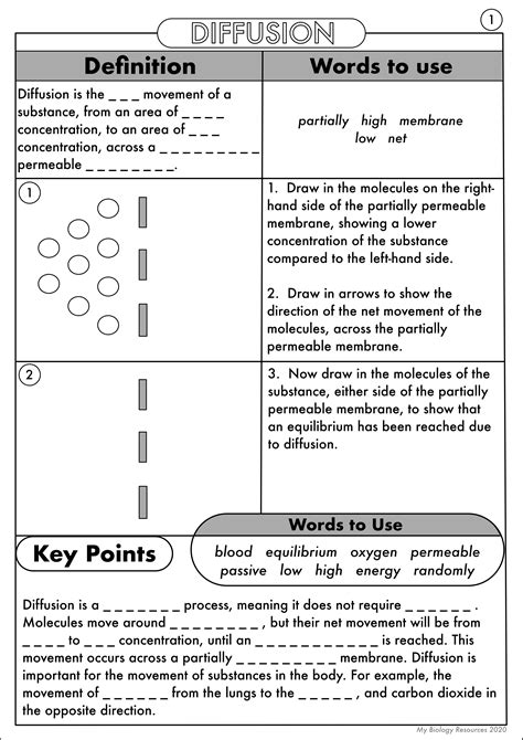 Passive And Active Transport Worksheet – Imsyaf.com