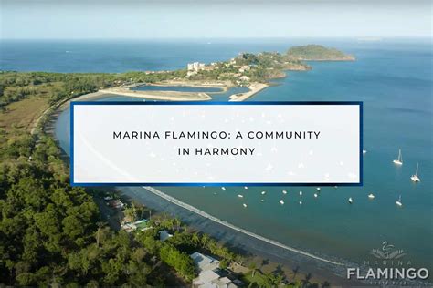 Marina Flamingo: A Community in Harmony | F3 Marina