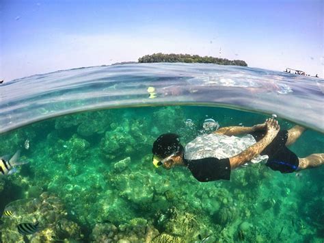 Jangan Lewatkan Spot Snorkeling Cantik di Kepulauan Seribu - Paket ...