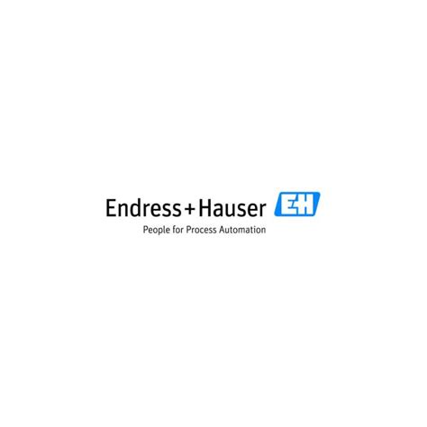 Endress+Hauser Logo Vector - (.Ai .PNG .SVG .EPS Free Download)