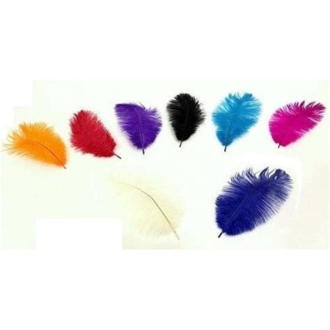 Pluma de Avestruz Drabs 25 cm | Sambapinto