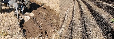 What Is A "Furrow" (in Agriculture)? - WorldAtlas.com